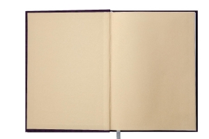 Ежедневник датированный 2019 SPOLETO, A5, 336 стр., малиновый Buromax