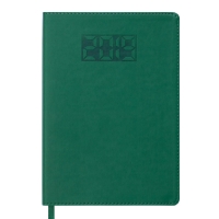 Ежедневник датированный 2019 PROFY, А5, 336 стр., зеленый Buromax