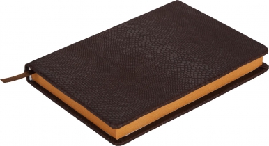 Щоденник недатований AMAZONIA, A6, 288стр. коричневий Buromax BM.2612-25