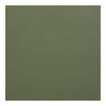 Еженедельник датированный 2026 карман. MORANDI STYLE, 153*87, зеленый, штуч. кожа Buromax BM.2909-04