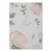 Папка-кутик А4, RAMIRA ARABESKI, напівпрозора, коралова Buromax BM.3854-27