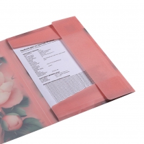 Папка А4 на резинках, PEONY ARABESKI, полупрозрачная, розовая Buromax BM.3908-10