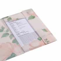 Папка А4 на резинках, RAMIRA ARABESKI, полупрозрачная, коралловая Buromax BM.3908-27