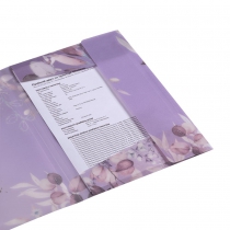 Папка А4 на гумках, LILAC ARABESKI, напівпрозора, сливова Buromax BM.3908-48