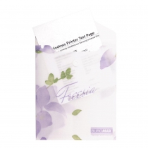 Папка-конверт А6 на кнопці, FREESIA ARABESKI, напівпрозора, бузкова Buromax BM.3922-26