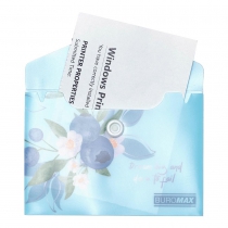 Папка-конверт А7 на кнопці, BLUEBERRY ARABESKI, напівпрозора,аквамарин Buromax BM.3923-52
