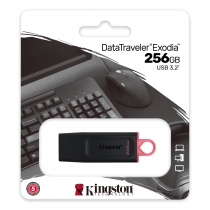 Накопитель Kingston  256GB USB 3.2 Type-A Gen1 DT Exodia DTX/256GB