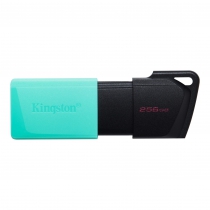 Накопитель Kingston  256GB USB 3.2 Type-A Gen1 DT Exodia M Black Teal DTXM/256GB