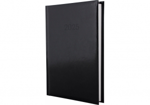 Ежедневник датированный, FLASH, черный, А5 ECONOMIX E21606-01