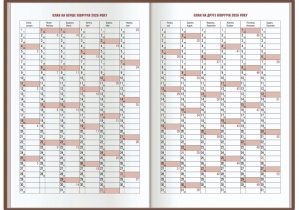 Щоденник датований, КЛІТИНКА, синій, А5 ECONOMIX E21609-02