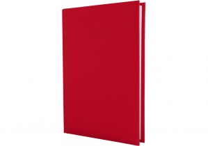 Дневник датированный, SATIN, красный, А5 ECONOMIX E21612-03