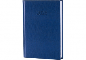 Щоденник датований, SNAKE (ЗМІЯ), блакитний, А5 ECONOMIX E21633-11