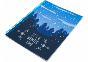 Блокнот "Christmas: Winter Time" А5 (150х200), пластиковая обложка, спираль, 60 арк., ячейка ECONOMIX E21950-01