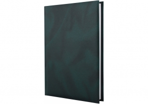 Щоденник недатований, OFFICE, зелений, А5, клітинка ECONOMIX E22004-04