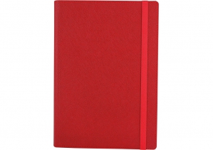 Щоденник недатований, CROSS, А5, клітинка, червоний  ECONOMIX E22006-03