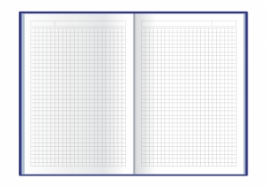 Дневник недатированный, CROSS, А5, ячейка, красный ECONOMIX E22006-03