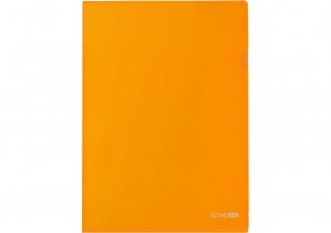 Папка-уголок А4 Economix, 180 мкм, фактура "глянец", оранжевая E31153-06
