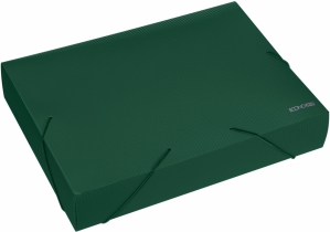 Папка-бокс пластикова А4 на гумках Economix, 60 мм, фактура "діамант", зелена E31405-04