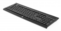 Клавиатура HP K2500 WL Black E5E78AA