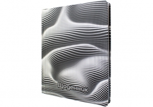 Дневник школьный, 165х210 мм, соч. 48 л. MAXI MX29923