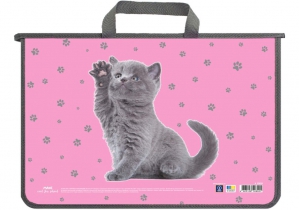 Портфель пластиковый А4 на молнии MAXI MX30059