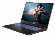 Ноутбук Dream Machines RG2050-17 17.3FHD IPS, Intel i7-13620H, 16GB, F1TB, NVD2050-4, DOS, черный RG2050-17UA25