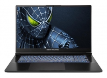 Ноутбук Dream Machines RG5050-17 17.3FHD IPS, Intel i7-14650HX, 16GB, F1TB, NVD5050-8, DOS, черный RG5050-17UA20
