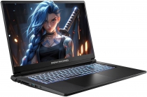 Ноутбук Dream Machines RG5050-17 17.3FHD IPS, Intel i7-13620H, 32GB, F2TB, NVD5050-8, DOS, черный RG5050-17UA28