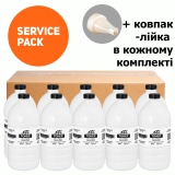 Тонер HP LJ P1005 Service Pack, флакон 10x1 кг TTI (TSM-T125-K-10SP) T-S-EL-HP-125-K-1