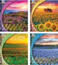 Зошит 60 арк. (лінія), 3008л Мрії збуваються TA5.6021.3008л