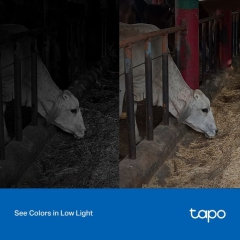 Камера видеонаблюдения TP-Link TAPO-C320WS