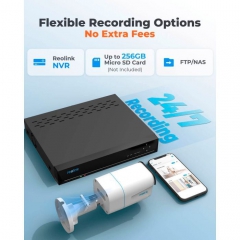 Камера видеонаблюдения Reolink P330 (2.8)