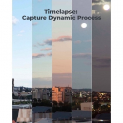 Камера видеонаблюдения Reolink P330 (2.8)