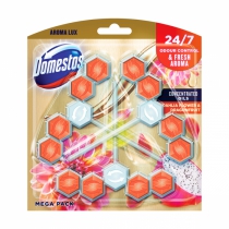 Туалетний блок Domestos Люкс Свіжість жожини і драгонфруту 3*55 г dm.68583
